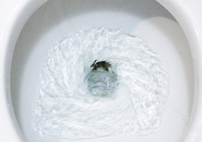 The 4 Types Of Toilet Flushing Systems JPG Plumbing