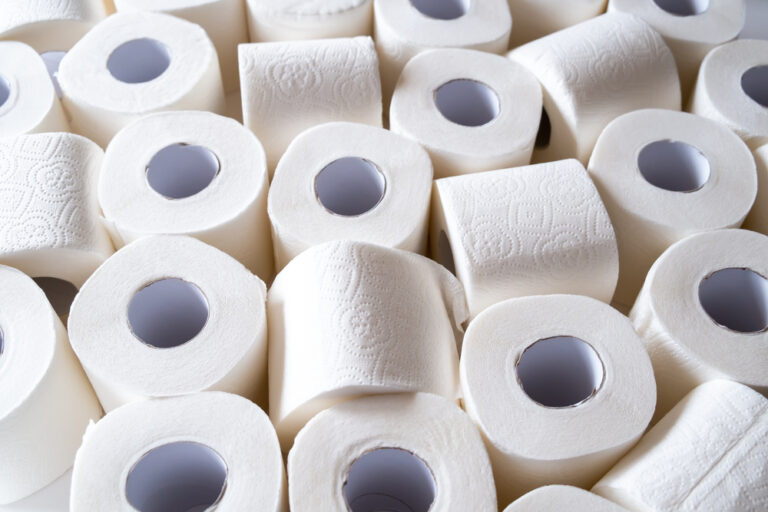 Toilet Paper Breakdown JPG Plumbing